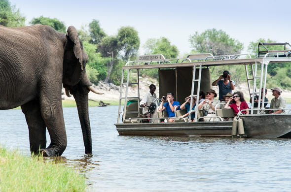 safari boat rental