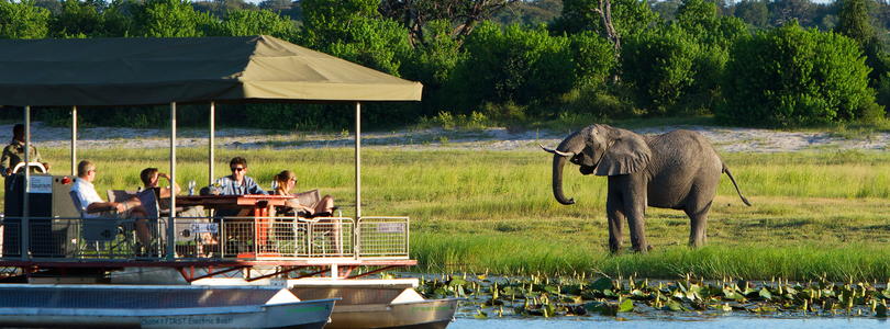 Chobe National Park river safari.
