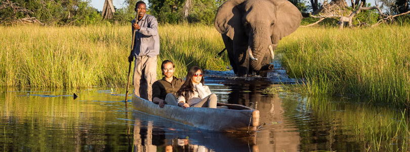 Okavango Delta safari.